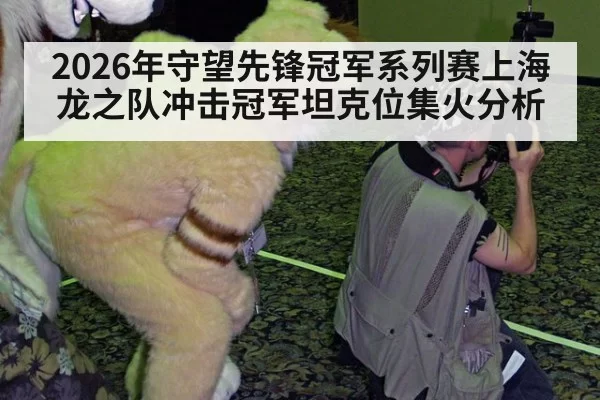 2026年守望先锋冠军系列赛上海龙之队冲击冠军坦克位集火分析